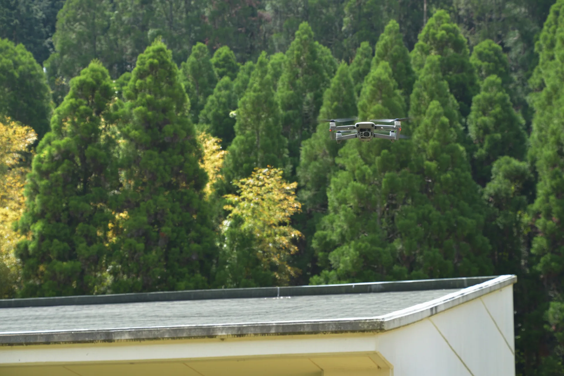 福岡 損害鑑定 | ビル外観