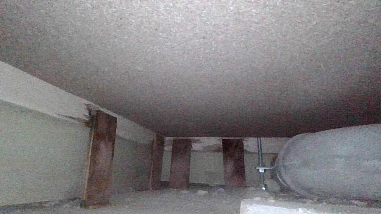 福岡 損害鑑定 | ファイバースコープ撮影